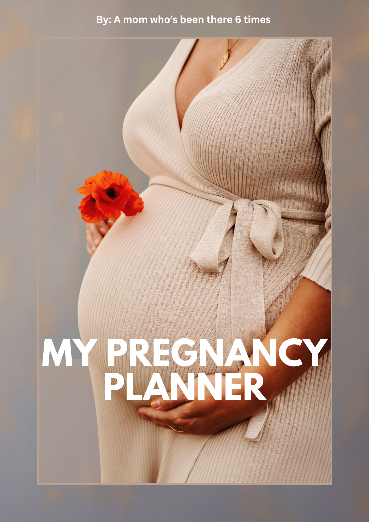 My Pregnancy Planner